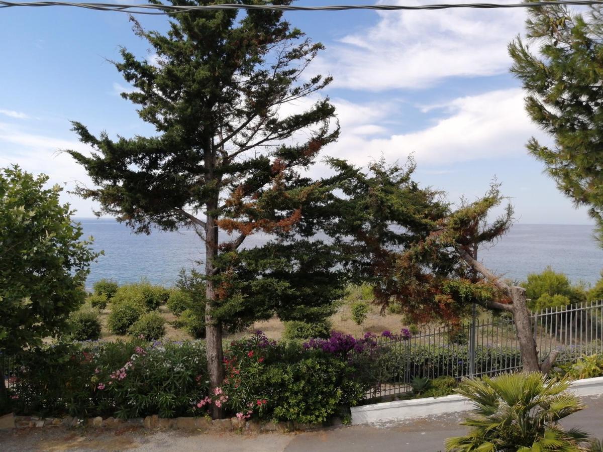 Villaggio Turistico La Vesca San Remo Zewnętrze zdjęcie
